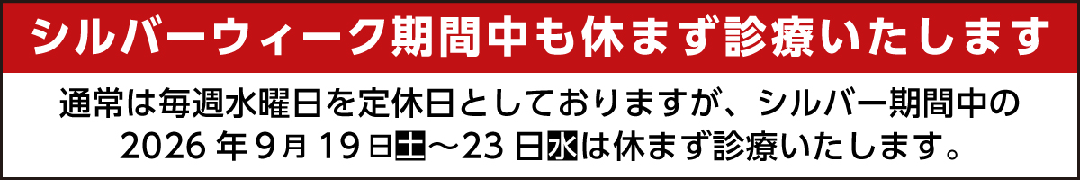 シルバーウィーク